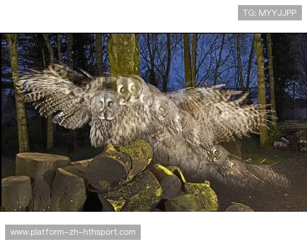 UFC重击爆表,瞬间倒地的震撼瞬间全记录! UFC重击爆表,瞬间倒地的震撼瞬间全记录!