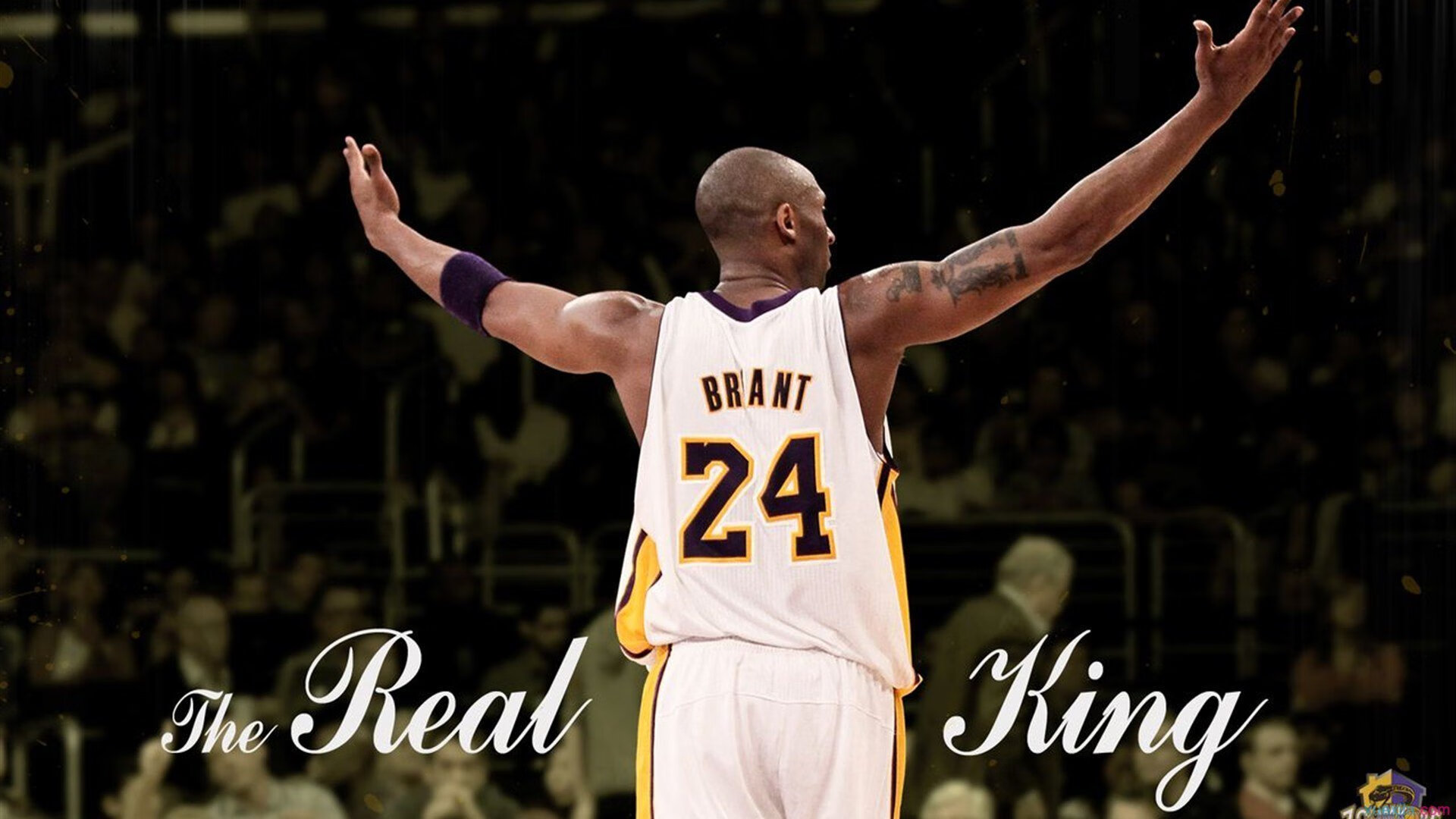 山顶背水爬坡挑战赛 传统挑山工路线变身竞技赛道