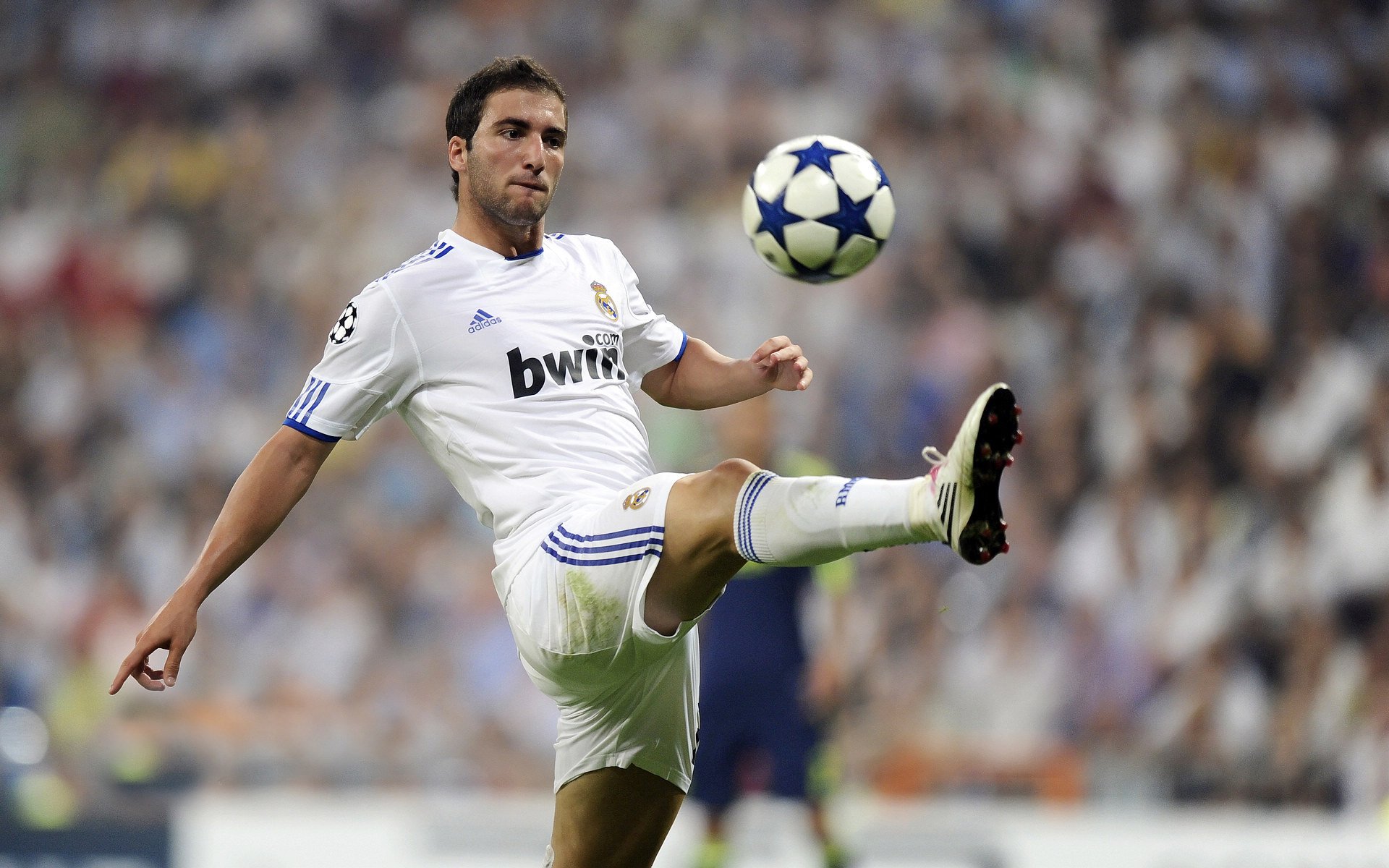 篮球赛季热门球队预测